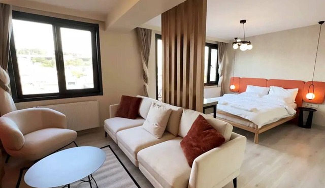 Stylish Studio & Bosphorus View