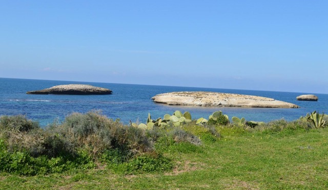 Su Ponte