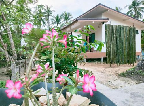 Suanthara kokut