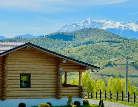 Sub Stele Chalets