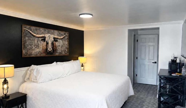 Suite 113