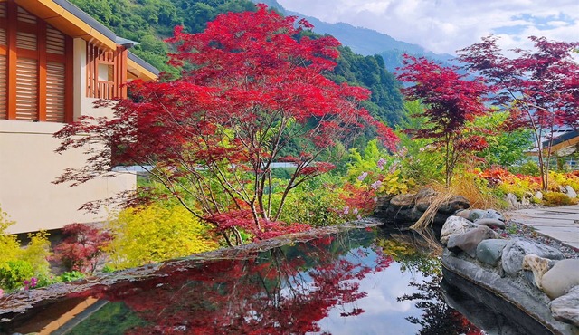 Summergarden Hotel