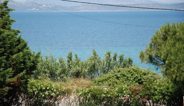 SUMMER HOUSE 100m from a nice beach !