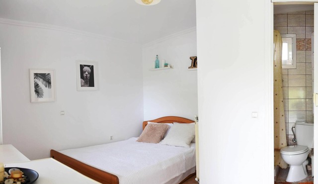 Summer Panora first floor studio