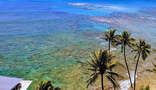 Summer Prices! Diamond Head Gem 1 bdr oceanfront condo, surfing, sunset views.
