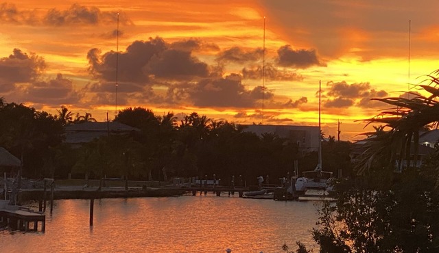 SUMMER SPECIALS! 5 Bedrm,5 bath, Elevator, Dock, Private Pool, Walk to beach!