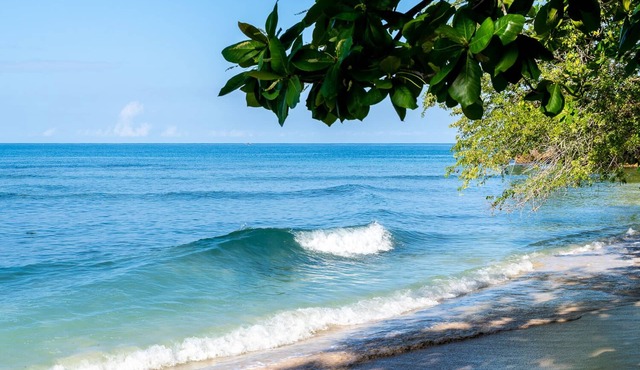 Summers Dream. your dreams become a reality.