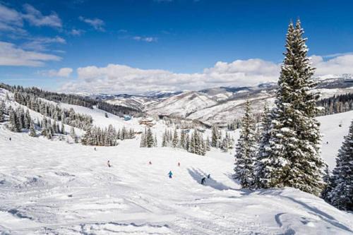 Summit Lodge at Arrowhead with Resort Amenities