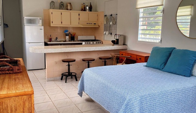 Sun bathed studio apartment with mountain views just minutes from the beach!