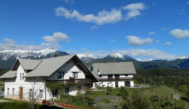 Sun terrace with a view, comfortable APARTMENT in nature - A2* BioFit Bled