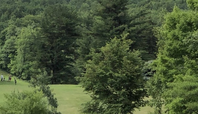 Sunapee Townhome Has It All