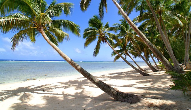 Sunhaven Beach Bungalows