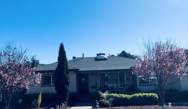 Sunny Bungalow