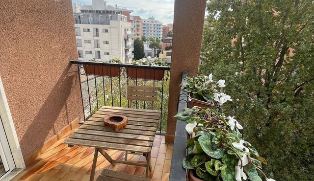 Sunny Comfy Apartment