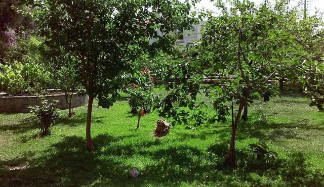 Sunny garden studio