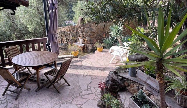 sunny green setting