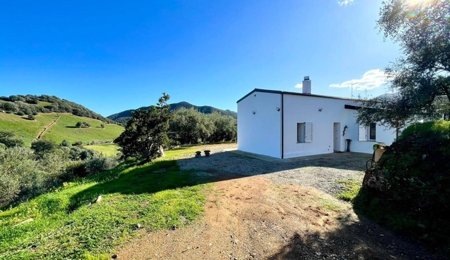 " Sunny Hill "