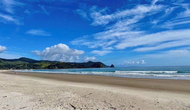 Sunny relaxed beach sleep out - pet friendly