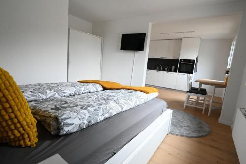 Sunny Renovated Alpine Apartment by Interlaken