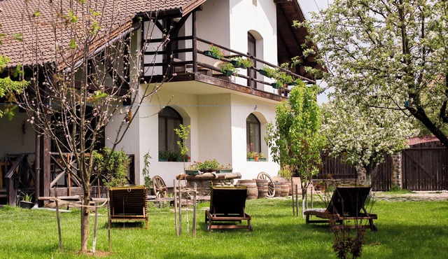Sunny rooms and soft beds, ideal for lazy afternoons and silent nights.