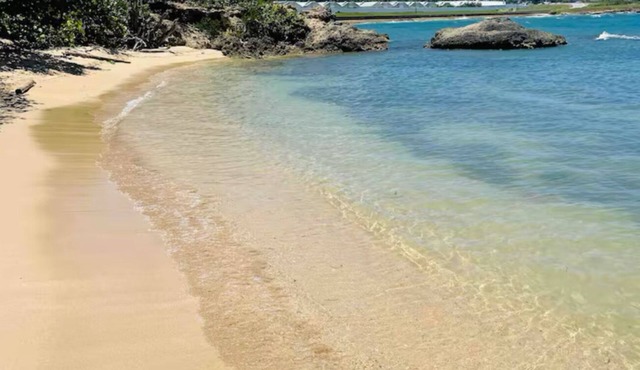 Sunny-shore Hideaway