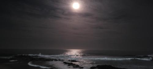 Sunseaker- Beachfront Complex