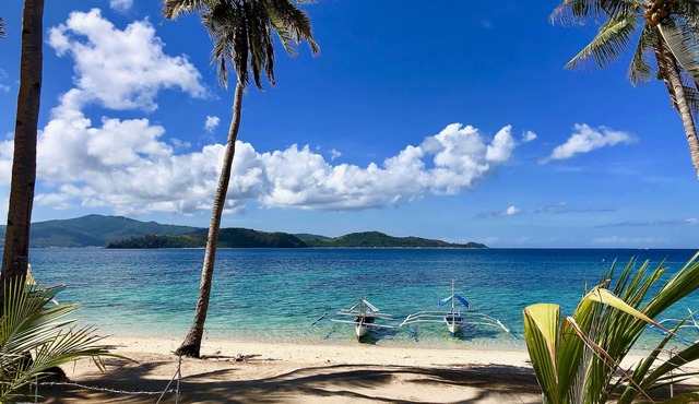 Sunset Cove Beach & Dive Resort