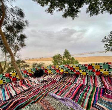 Sunset Tree Camp
