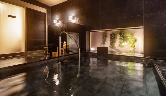 Super Hotel Echizen Takefu