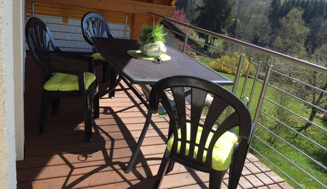 Super nice 4 star luxury vacation apartment Adlerhorst (& Wallbox)