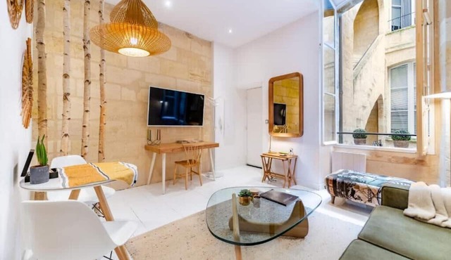 Superb bright and charming Bordeaux flat with terrace
