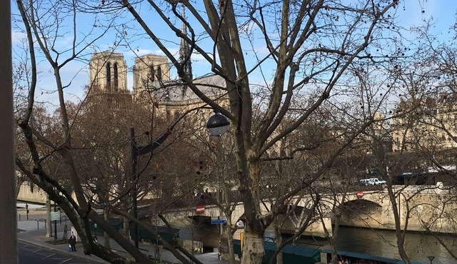 Superbe 2 P Notre Dame VUE SUR LA Seine ET Ceremonie Ouverture JO