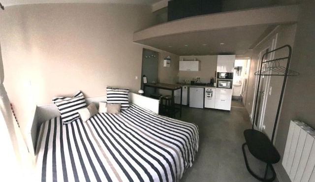 Superbe comfortable studio CHU et Université