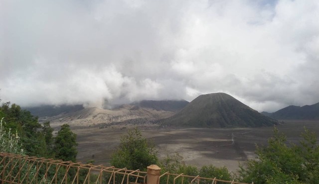 Superior Cemara Indah at Cemara Lawang, Bromo