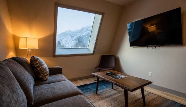 Superior King Two Bedroom Apartment