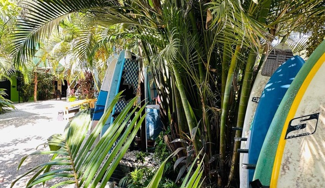 Surf Paradise