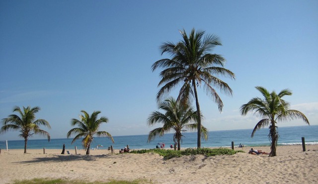 Surf Side Resort