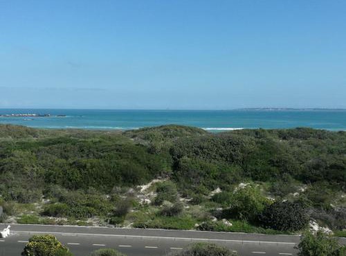 Surf Views