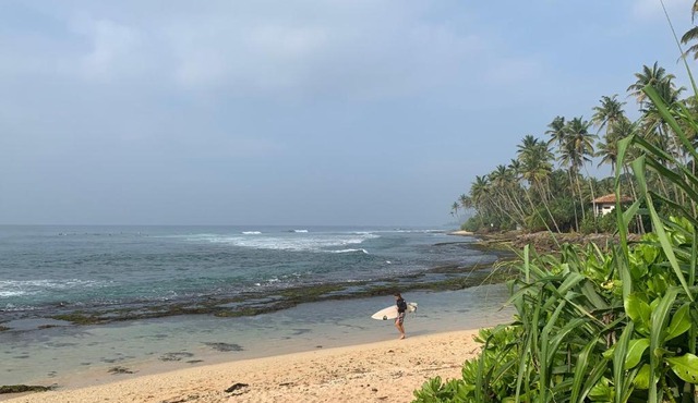 Surfe lodge