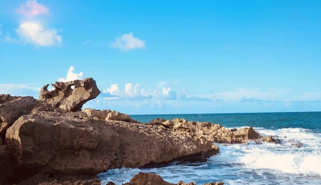 Surfers/backpackers Paradise