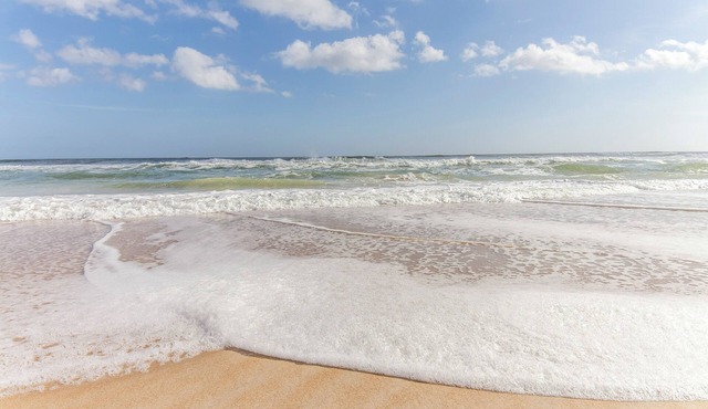 Surfside Six E by Distinctive Beach Rentals