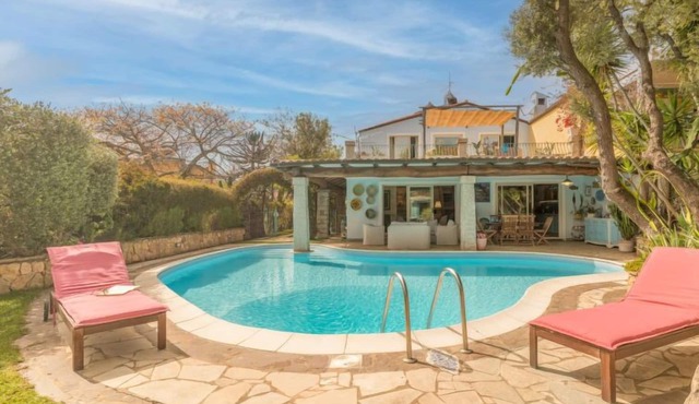 Surphinia by Interhome