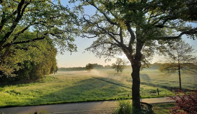 Surrounded by greenery - Ferienwohnung am Thalenbusch - Ferienwohnung am Thalenbusch