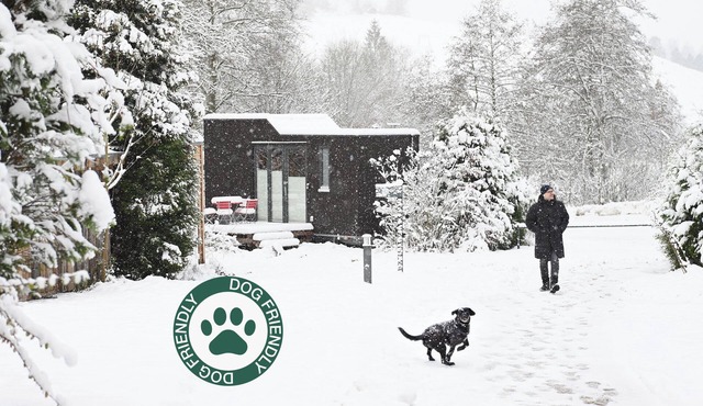 Sustainable vacation with a dog at the Green Tiny House Nature 1 in Osterode am Harz