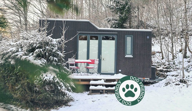 Sustainable vacation with a dog at the Green Tiny House Nature 8 in Osterode am Harz