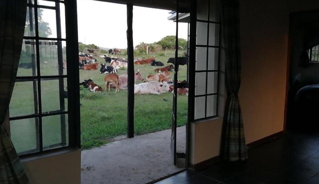 Suthu Farm House