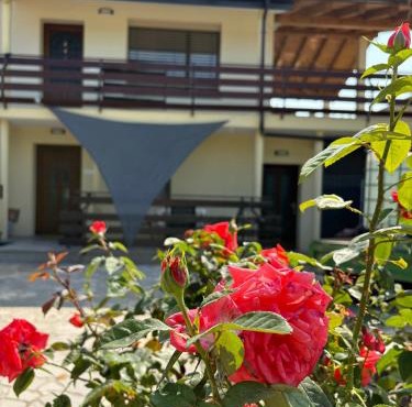 Suzi Apartments
