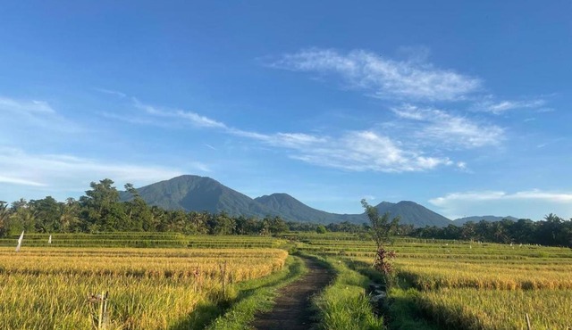Svarga Uma Cottage - Unwind Amidst Bali Starling Sanctuary
