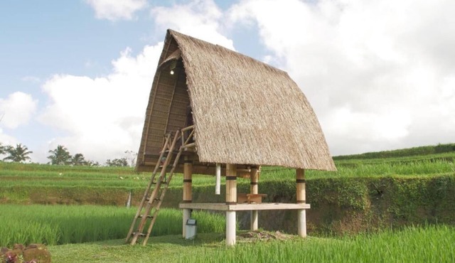 Swaha Retreat & Eco Park Ubud