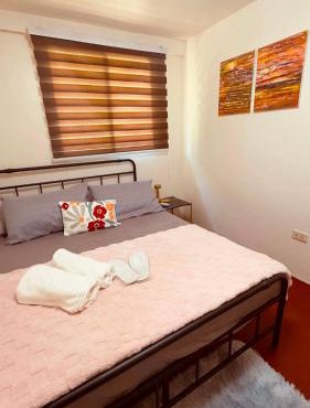 Sweden's Tiny House walking distance Gaisano Mall, Masbate City